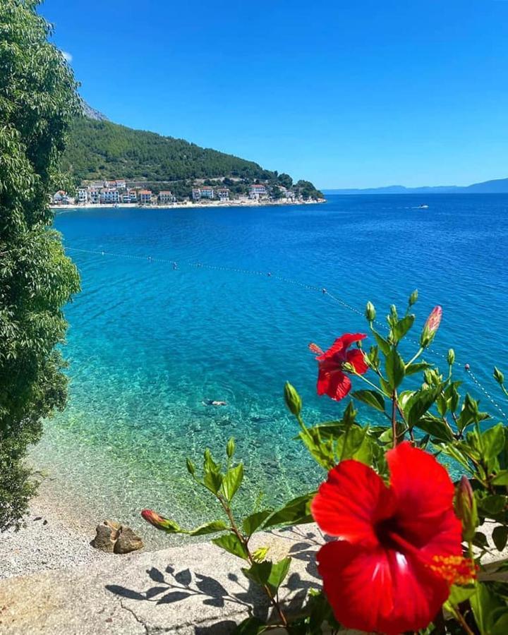 Hotel Ivando - Maslina Drvenik  Dış mekan fotoğraf